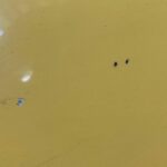 Przód kompletny Opel Corsa D 13180459 2006-2014