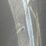 Błotnik prawy Volkswagen Golf V 1K6880682A 2003-2009