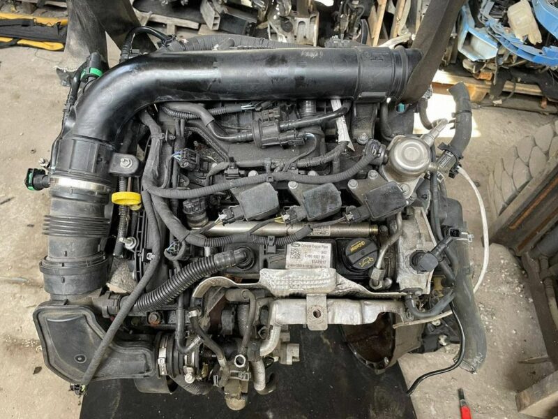 Silnik Ford Focus C1BG6007BF 2010-2017